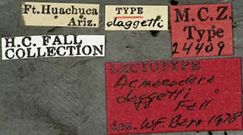 Media type: image;   Entomology 24409 Aspect: labels